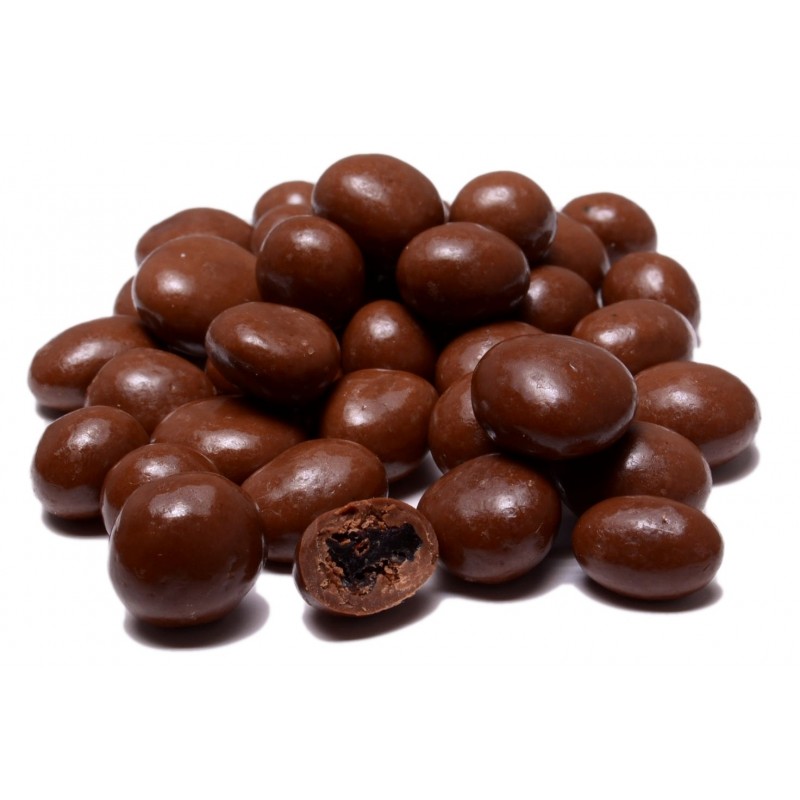 Raisins in No Sugar Added Chocolate