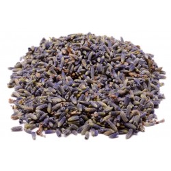 Lavender Flower Herbal