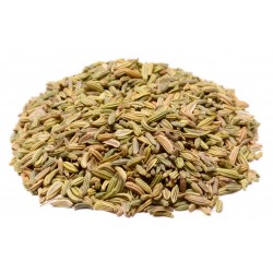 Fennel Seeds Spice
